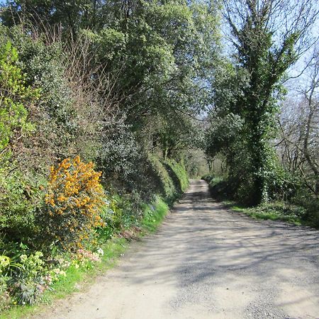 Higher Coombe Bovey Tracey Luaran gambar