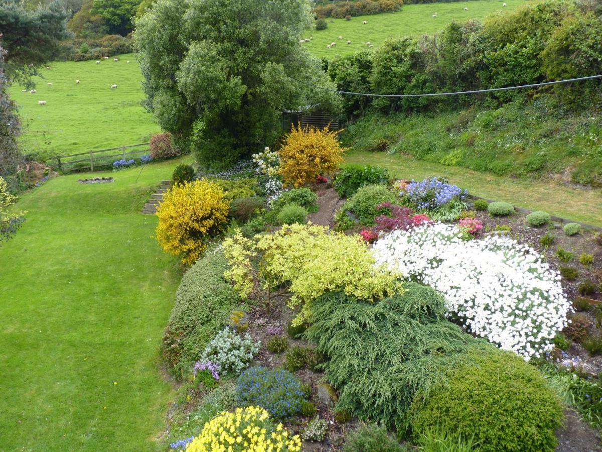 Higher Coombe Bovey Tracey Luaran gambar