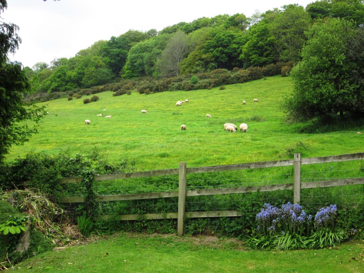 Higher Coombe Bovey Tracey Luaran gambar