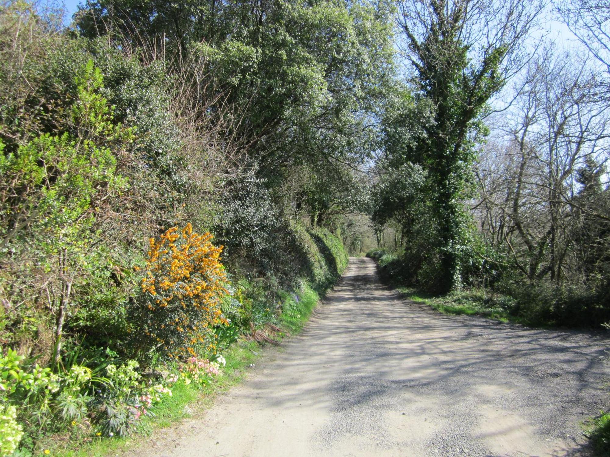 Higher Coombe Bovey Tracey Luaran gambar