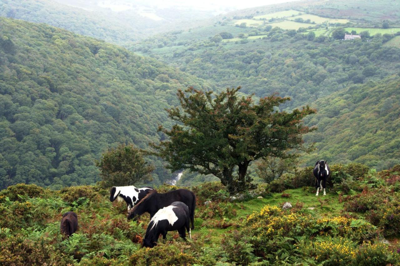 Higher Coombe Bovey Tracey Luaran gambar